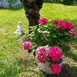 Tatil Evi Tre Terre Pianello Del Lario