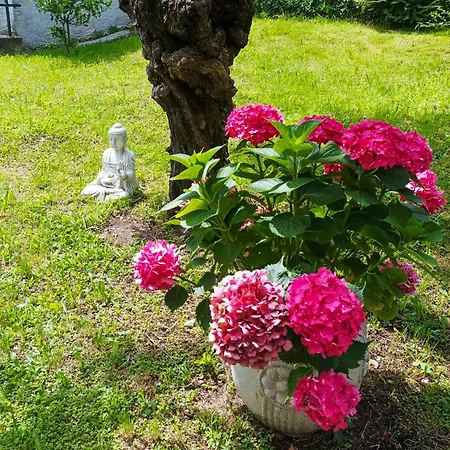 Holiday home Tre Terre Pianello Del Lario